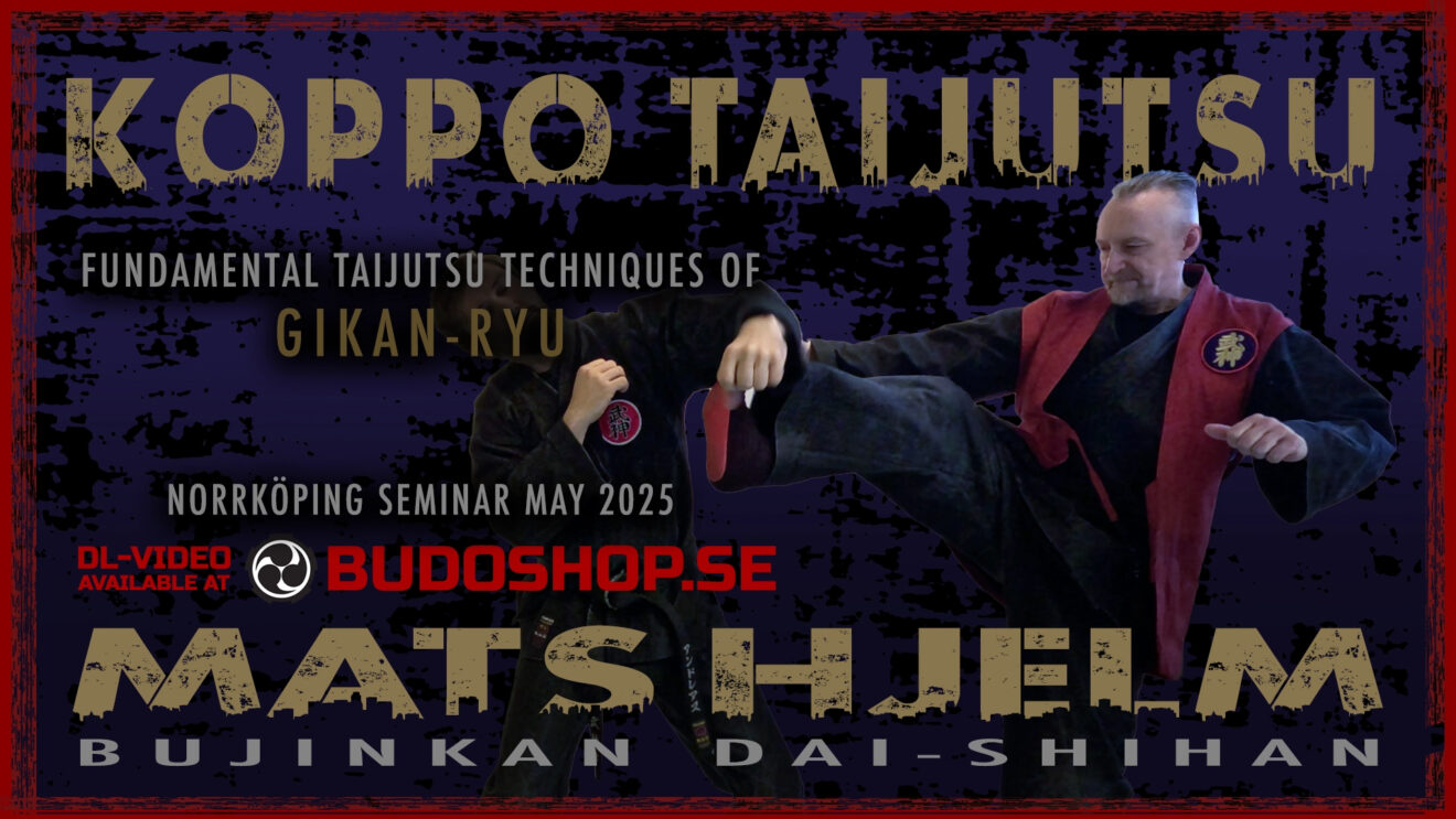 Home - 武神館兜龍 Bujinkan Toryu
