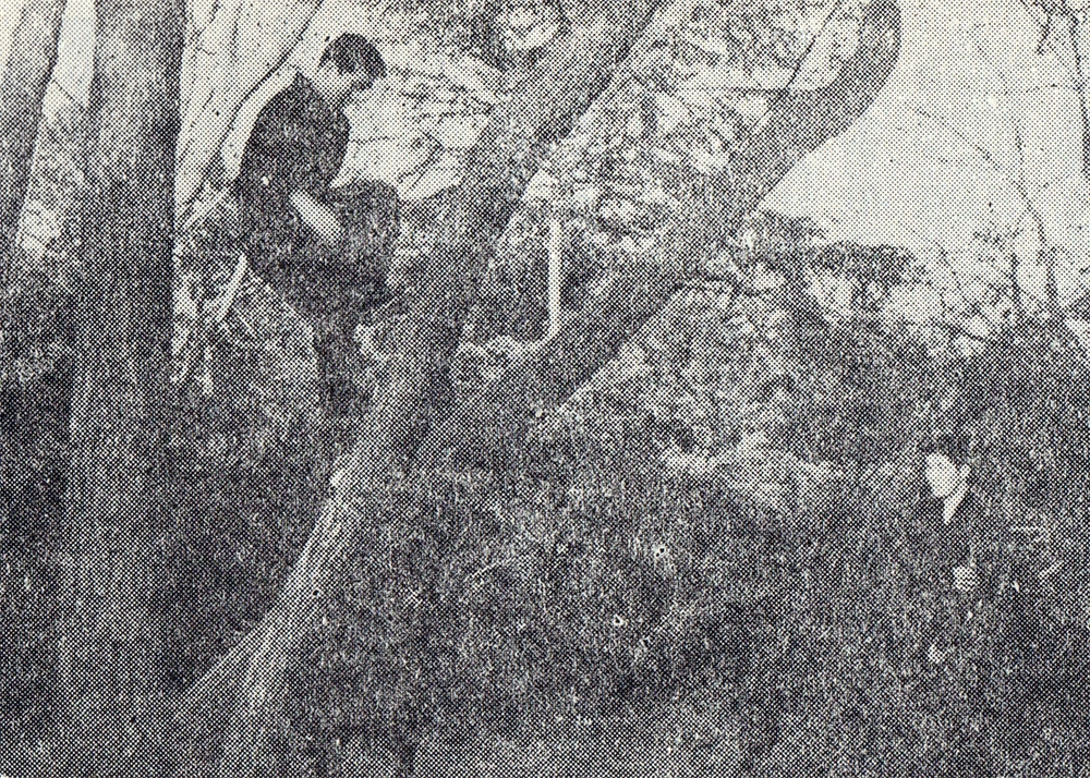 Qualifications for Becoming a Ninja - Togakure-ryu Shoten no Jutsu