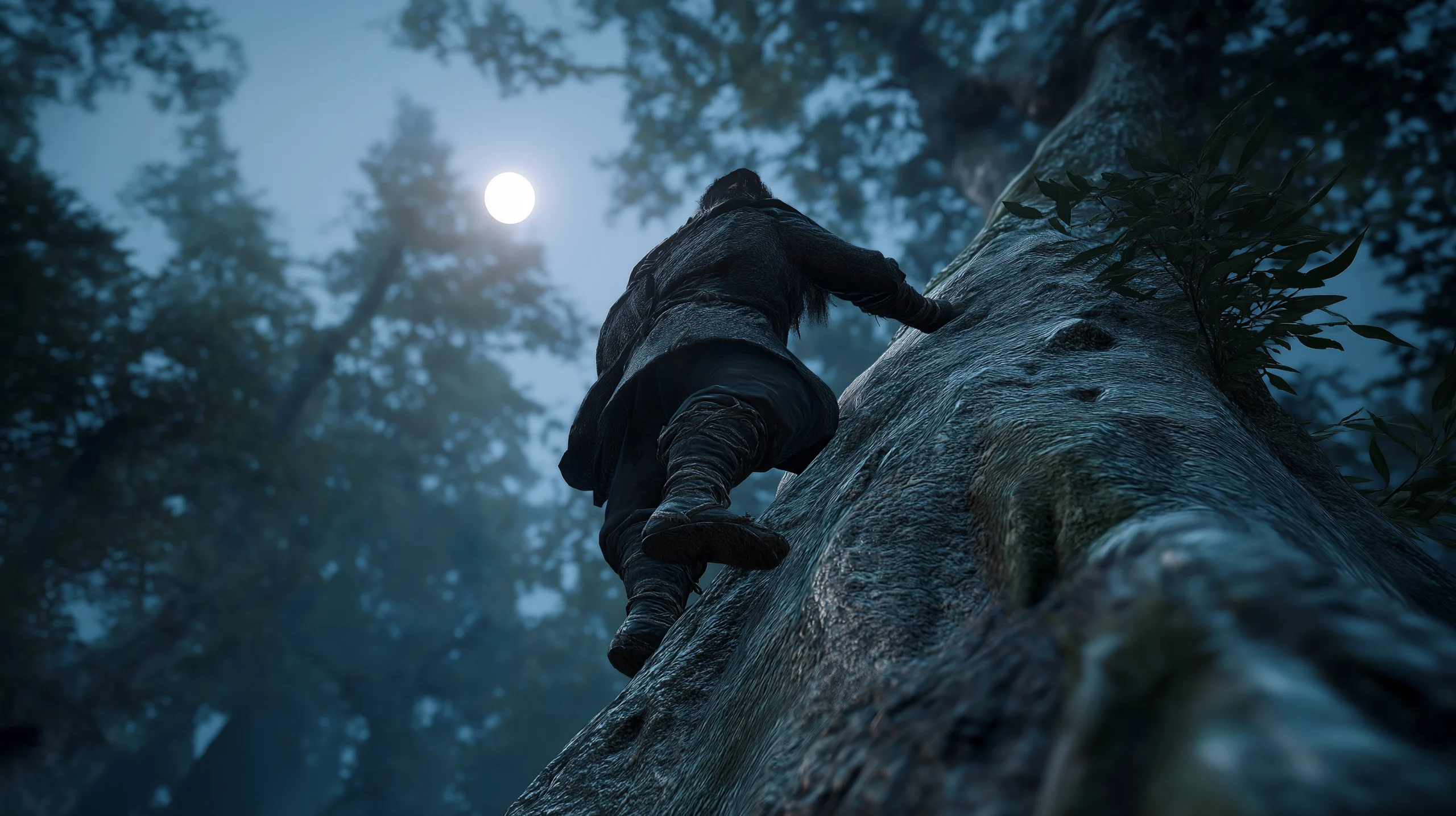 History of Ninjutsu: Qualifications for Becoming a Ninja
