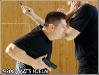 Bujinkan Dojo and the 9 traditional schools - Gun defence